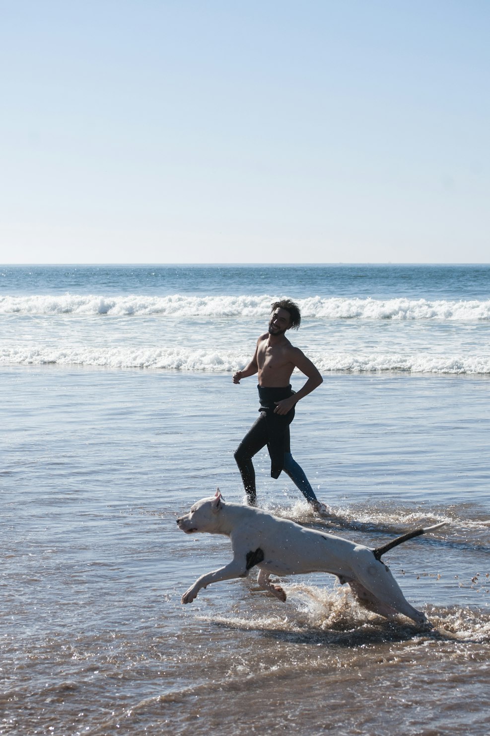 EPA Omega-3 and Vitamin A for Whole-Body Wellness