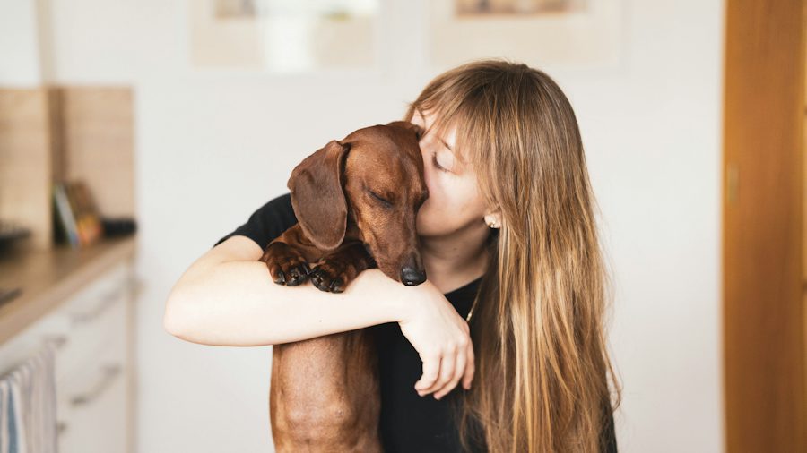 The Joy of Coming Home to a Healthy Dog