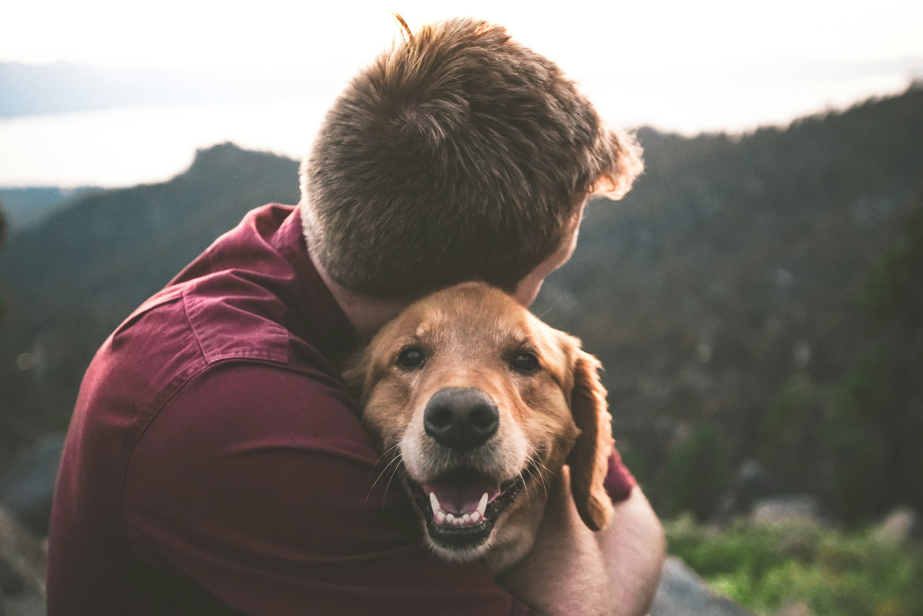Why AI Will Never Replace Your Dog