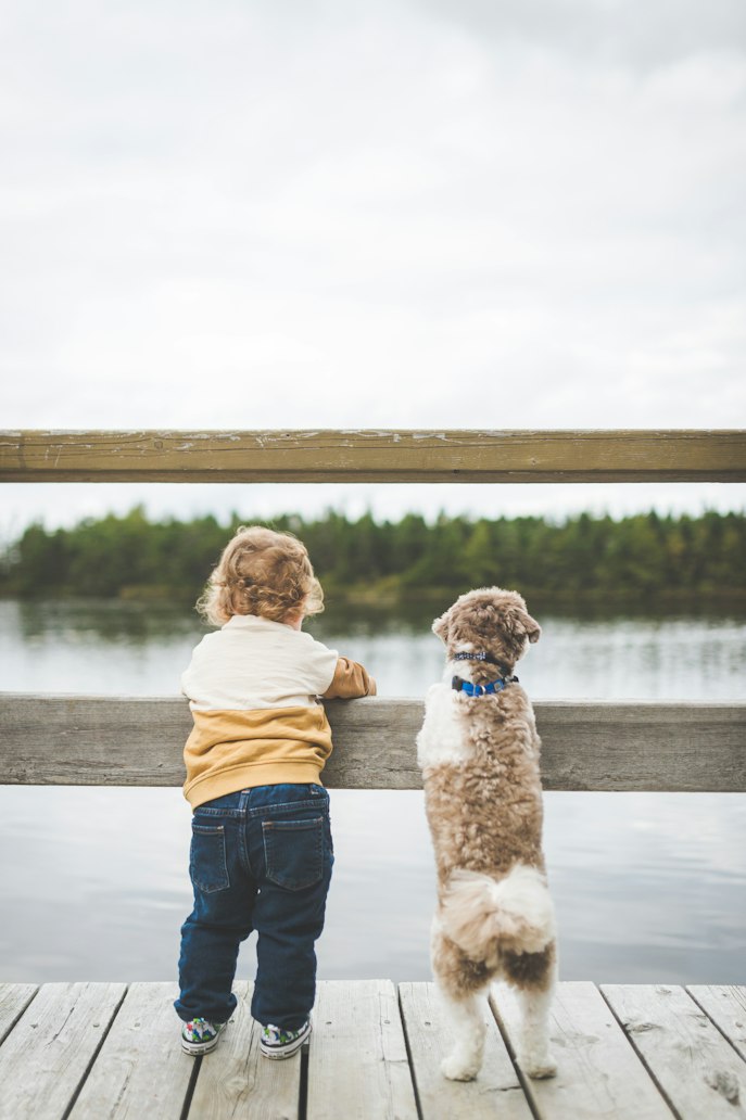 How high-potency EPA omega-3 supports joints, skin, coat, and whole-body wellness in dogs