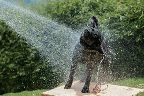 How Bath Time Strengthens Your Bond