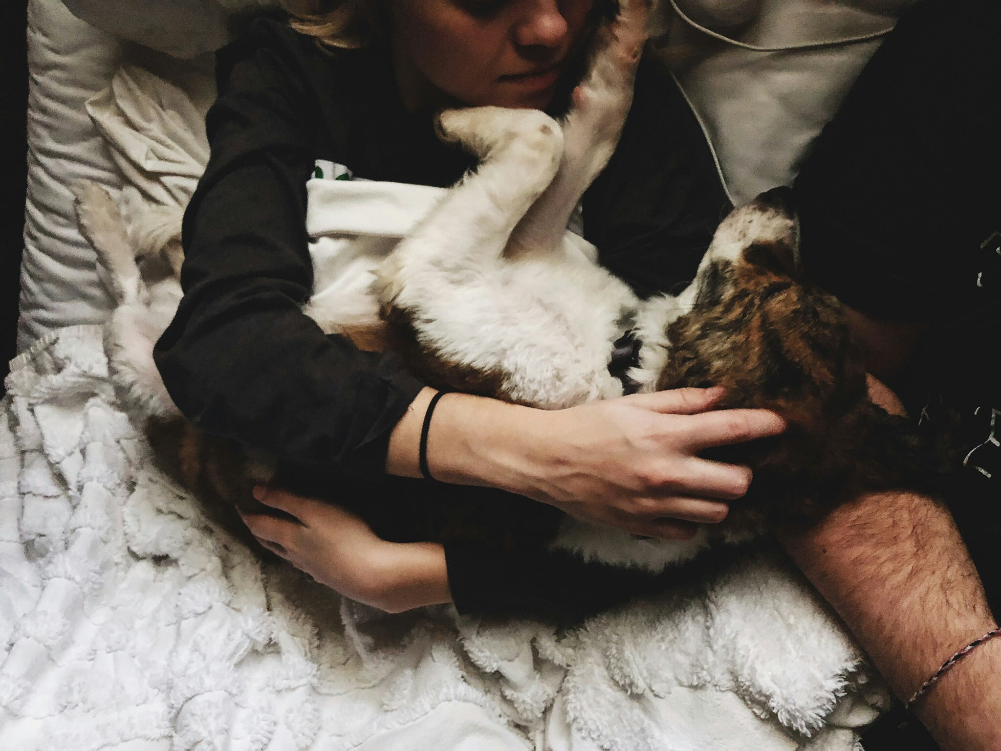 Why Your Dog Is the Best Nurse When You're Sick