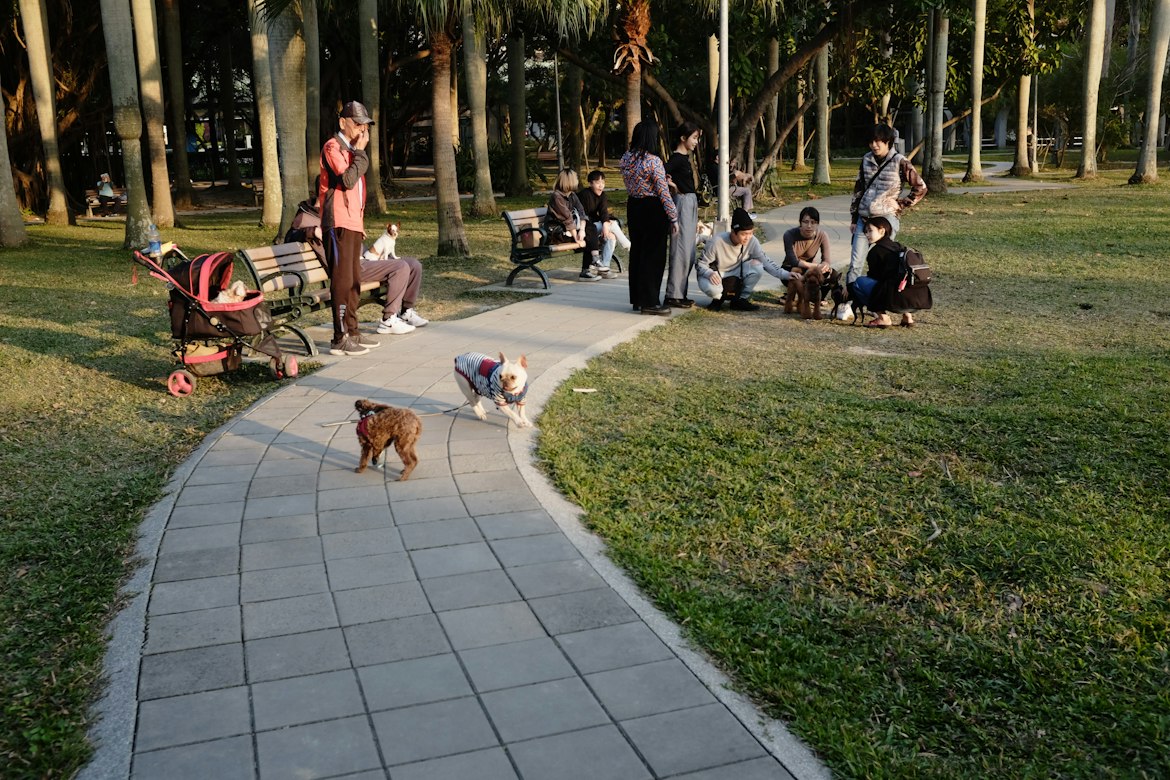 How Dogs Help You Meet People and Beat Loneliness